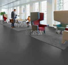 Forbo Marmoleum Decibel on Order 372535 cosmos фото 2 | FLOORDEALER